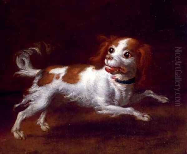 A spaniel - view 1