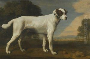 Viscount Gormanston's White Dog by George Stubbs