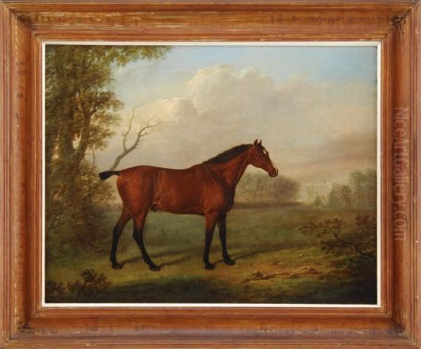 Portrait Of A Brown Horse - view 1
