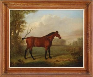 Portrait Of A Brown Horse