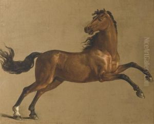 Un Etalon Bai by George Stubbs