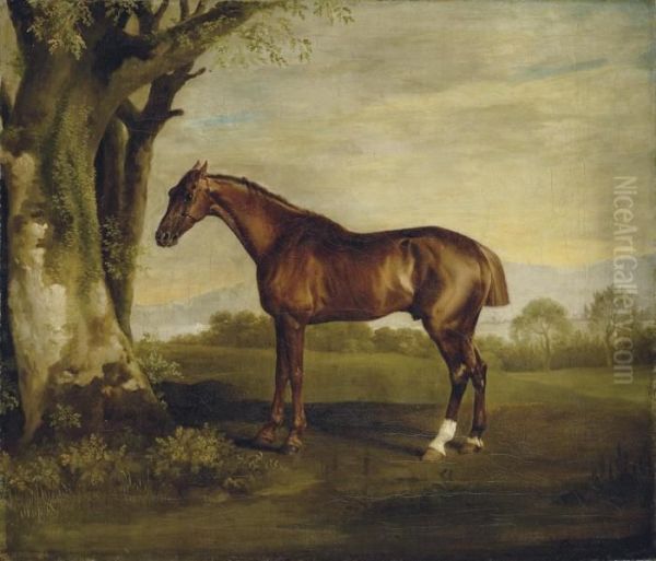 Antinous, A Chestnut Racehorse, In A Landscape - view 1