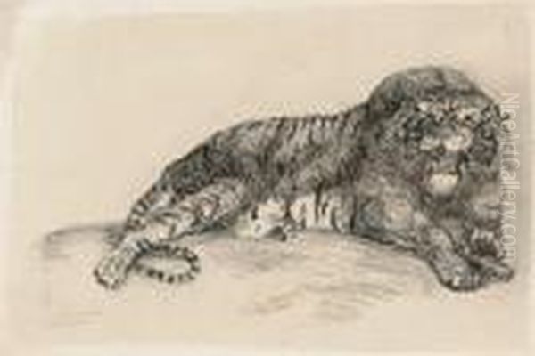 Studies Of Wild Animals - view 1