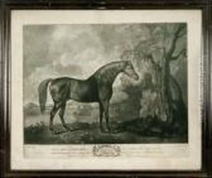 Brown Horse Mask by George Stubbs