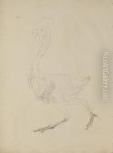 Untitled - view 1