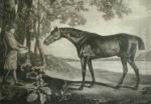 Horse And Groom; Mezzotint And Aquatint by George Stubbs