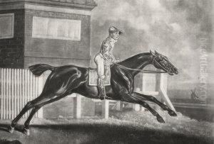 "the Terrible Horse Trentham"; Published According To The Act Of Parliament by George Stubbs