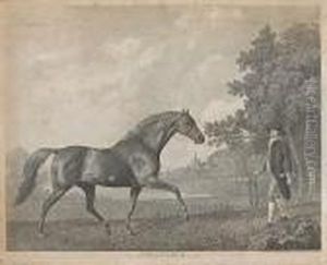 Volunteer by George Stubbs