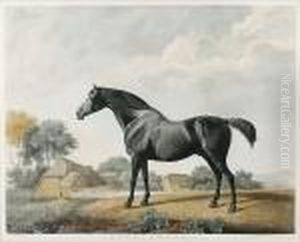 Sweetbriar, (lennox Boyd 112) by George Stubbs