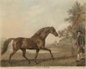 Volunteer, (lennox Boyd 117)