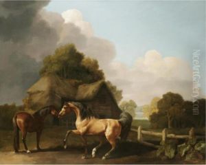 Stallion And Mare