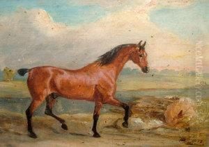Chestnut Hunter In A Landscape