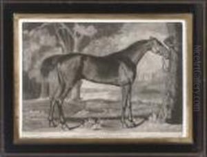 Pangloss Belonging To Lord Grosvenor by George Stubbs