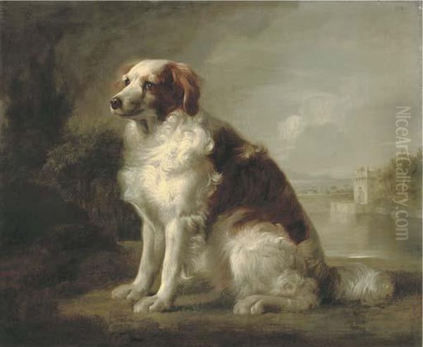 A Red And White Dog - view 1