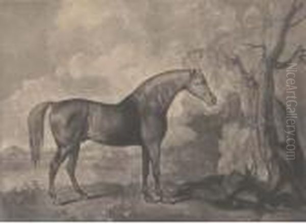 Brown Horse Mask, By George Townly Stubbs - view 1