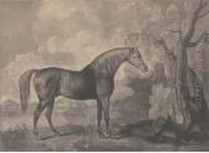 Brown Horse Mask, By George Townly Stubbs by George Stubbs