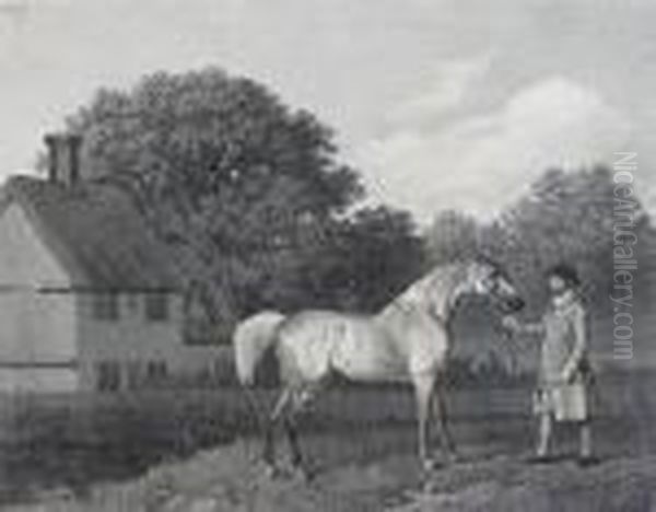 Gimcrack (lennox Boyd 122) - view 1