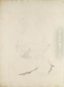 A Comparative Anatomical
Exposition Of The Human Body With That Of A Tiger And A Common Fowl
(lennox Boyd 189-218) by George Stubbs