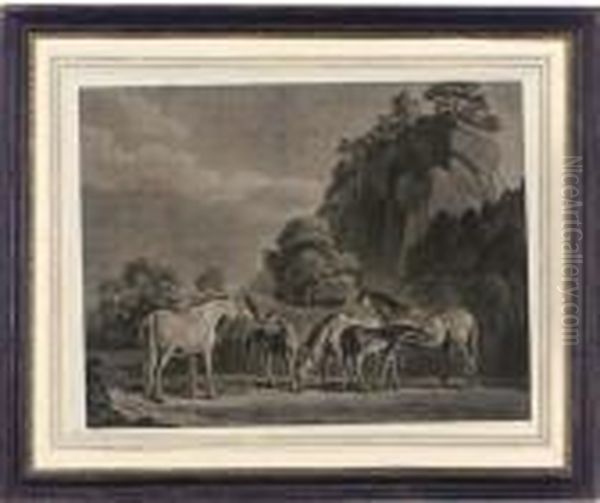 Brood Mares - view 1
