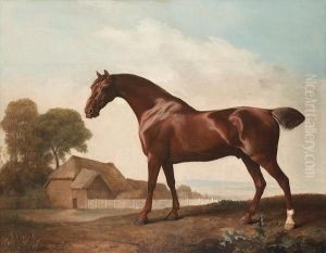 A Chestnut Thoroughbred Before A Barn In An Open Landscape