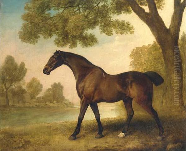 A Bay Hunter In A Wooded River Landscape - view 1