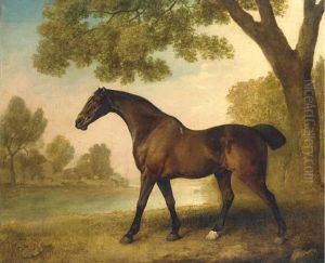 A Bay Hunter In A Wooded River Landscape