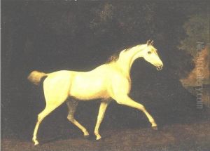 Lord Westmoreland's Grey Hunter In A Landscape by George Stubbs