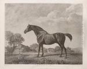 Sweetbrier (lennox Boyd 112) by George Stubbs