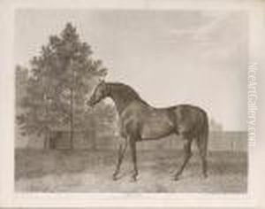 Anvil (lennox Boyd 114) by George Stubbs
