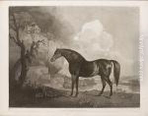 Marske (lennox Boyd 120) by George Stubbs