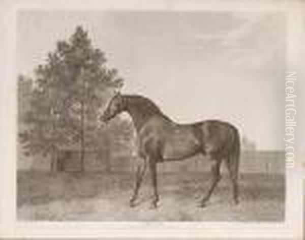 Protector (lennox Boyd 102) - view 1