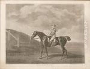 Pumpkin (lennox Boyd 104) by George Stubbs