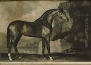 An Arabian Belonging To Mr Gregory (lennox-boyd 23) by George Stubbs