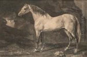 An Arabian Belonging To Mr Gregory (lennox-boyd 24) by George Stubbs