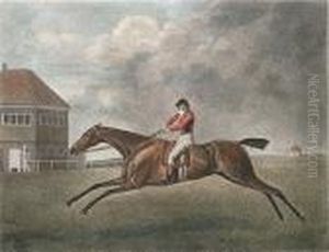 Baronet (lennox Boyd 100) by George Stubbs