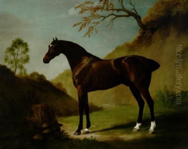 Dark Bay Thoroughbred In A Landscape - view 1