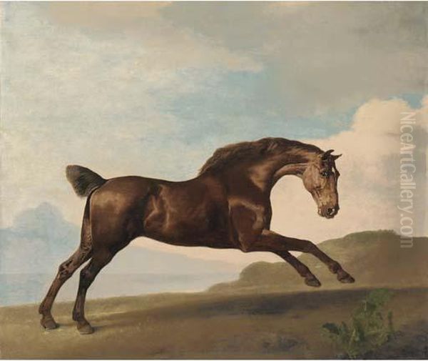 A Bay Hunter Galloping In A Mountainous Landscape - view 1