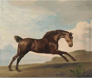 A Bay Hunter Galloping In A Mountainous Landscape