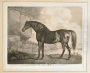 Marske (l-b. 121) by George Stubbs