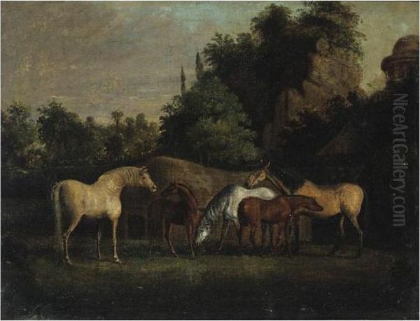 Brood Mares - view 1