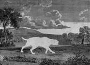 The Spanish Pointer by George Stubbs