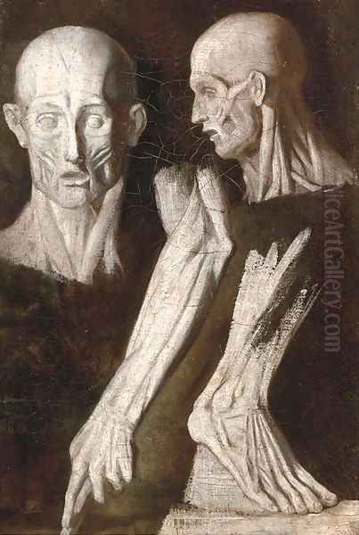 Anatomical studies of a man - view 1