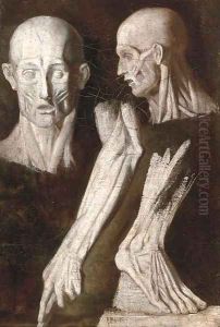 Anatomical studies of a man by French School