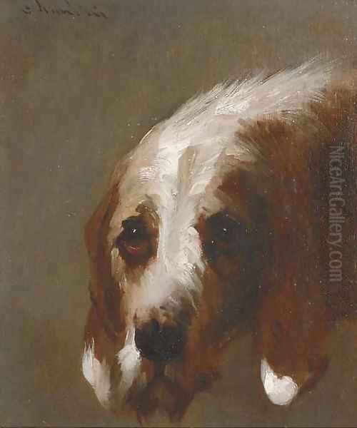 The head of an otterhound - view 1