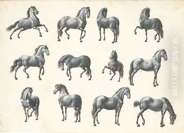 Twelve studies of horses - view 1