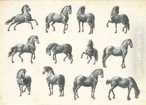Twelve studies of horses by French School