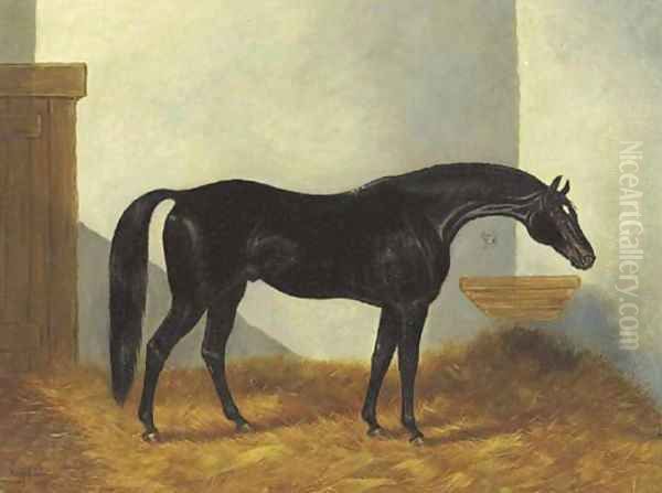 Virgil, a Black Stallion in a stable - view 1