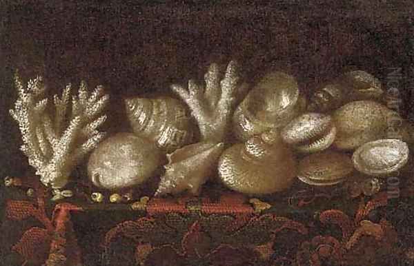 Shells on a carpet draped table - view 1