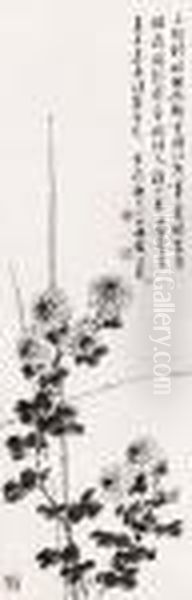 Chrysanthemum - view 1