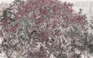 Plum Blossoms And Bamboo In Snow